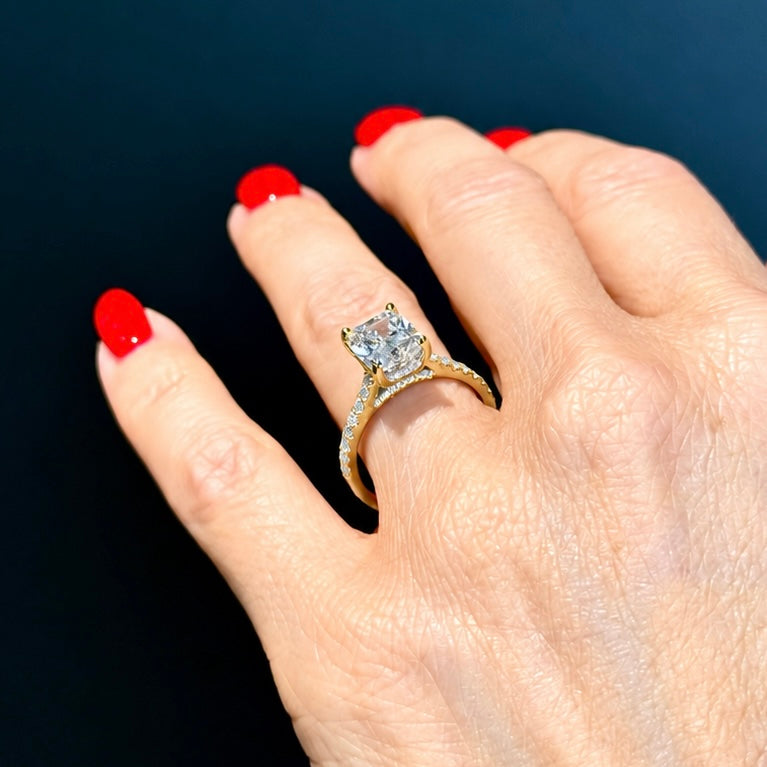 Cathedral Set Elongated Cushion Cut Hidden Halo with Diamond Bridge - 3ct+ (10mm+, E/VS1+)
