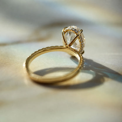 Classic Oval Cut Hidden Halo with Diamond Band - 4ct+ (13mm+, E/VS1+)