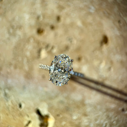 Classic Oval Cut Hidden Halo with Diamond Band - 4ct+ (13mm+, E/VS1+)