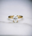 Classic Oval Cut Solitaire - 1ct+ (8mm+, D/E & VVS)