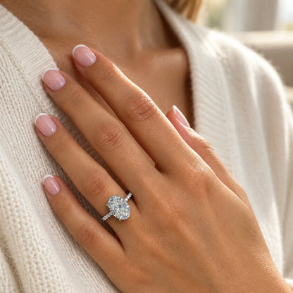 Classic Oval Cut Hidden Halo with Diamond Band - 4ct+ (13mm+, E/VS1+)