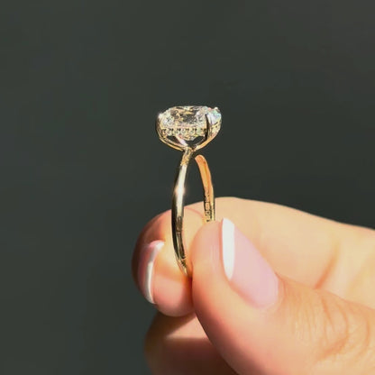 Antique Cushion Cut Hidden Halo - 2.5ct+ (10mm+, D/E & VVS)